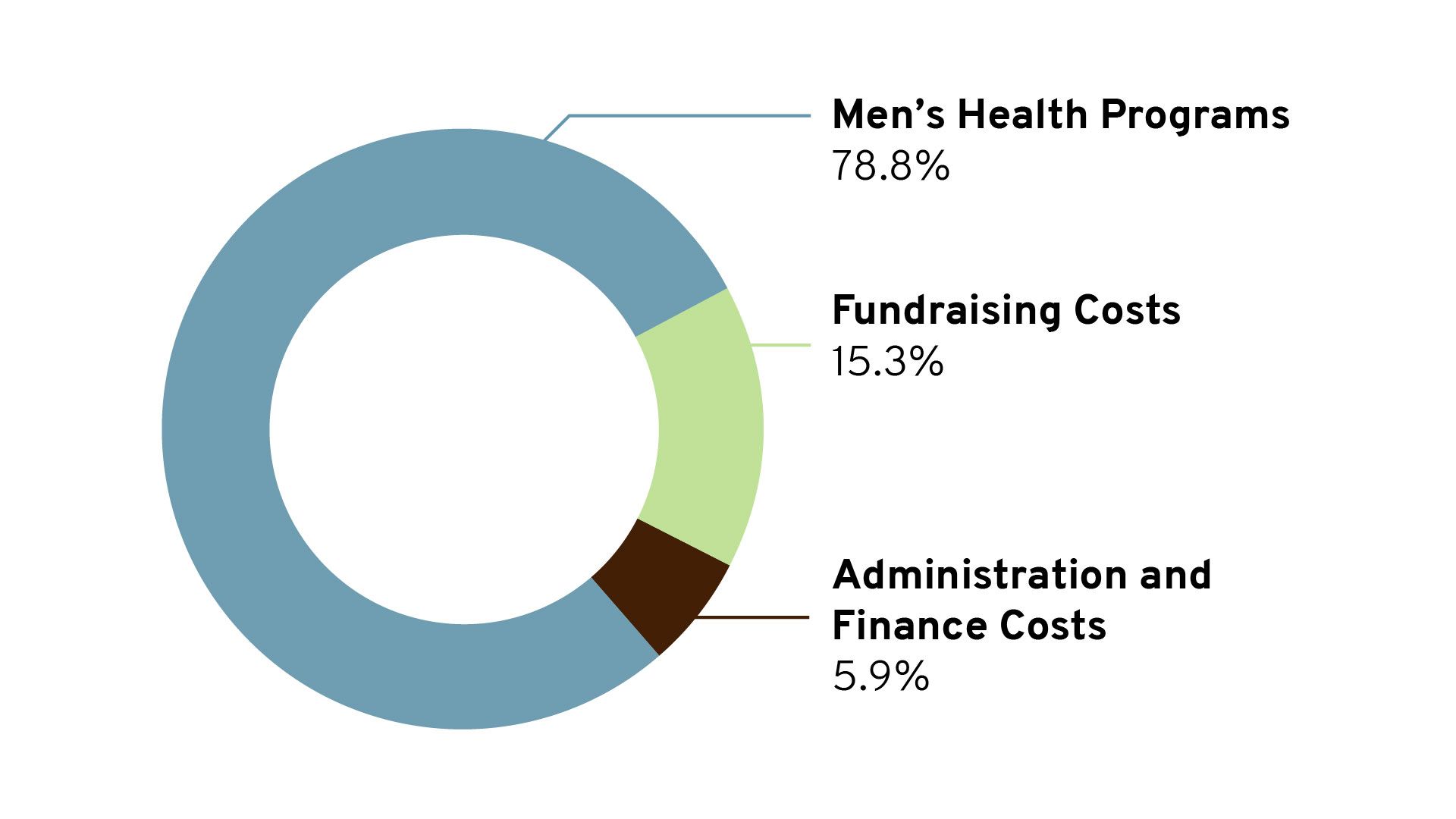 Pie chart showing Movember's financial information