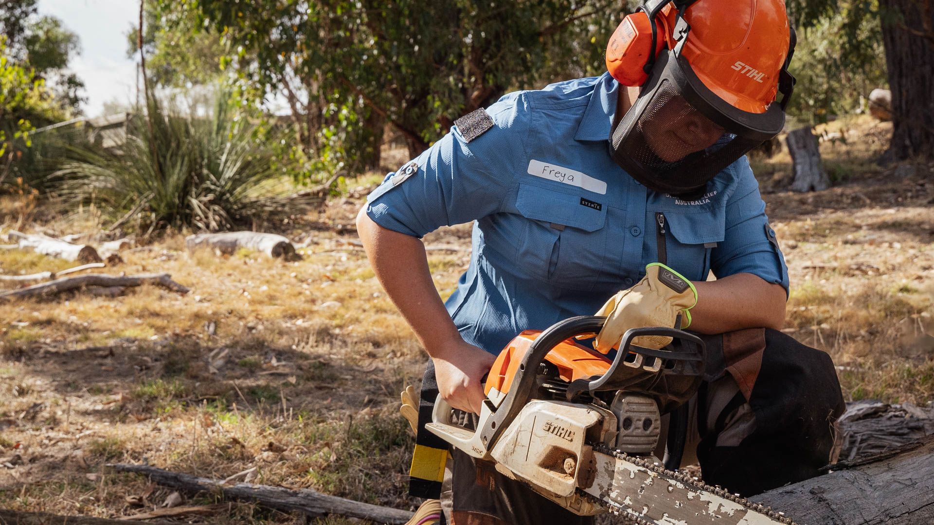 Woman with chainsaw bends down to cut a tree trunk