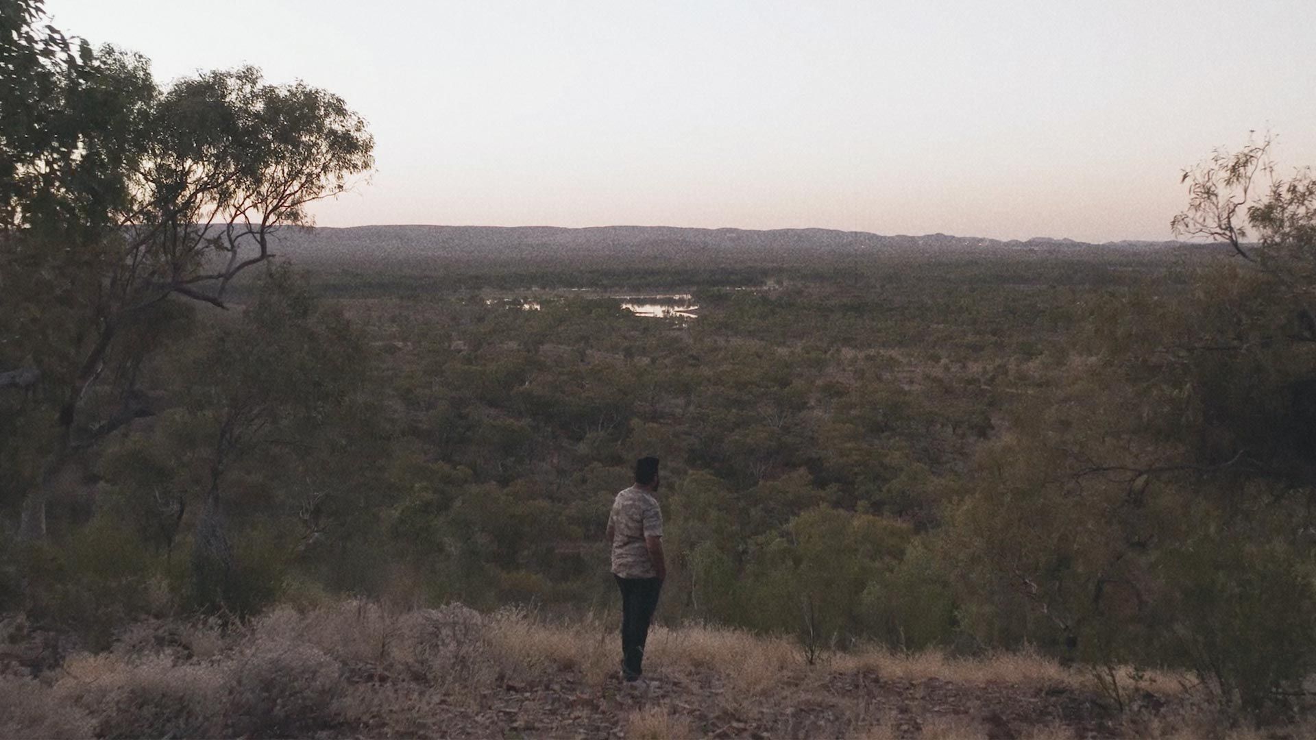 A man overlooking a view of bushland.
