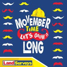 Land Surveys