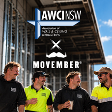 AWCI NSW Movember Team