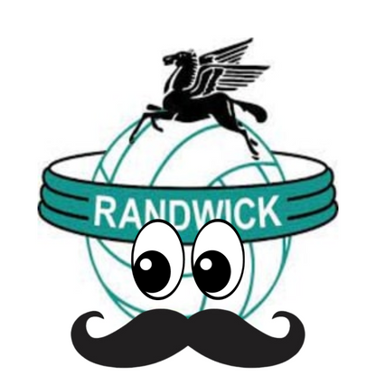 Randwick Netball Association Mens