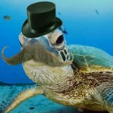E2G Turtles