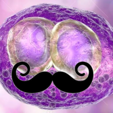Bi-Mo-logists, Che-Mo-sts and Mo-dical Doctors