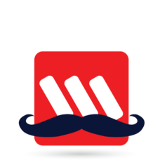 Wilson Security NAT
