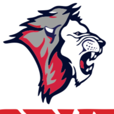 Moburg Lions