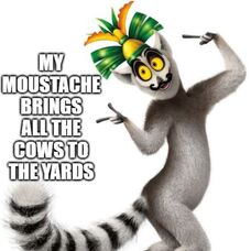 My Moustache Brings all the Cows to the Yards